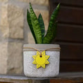 Jardinière d'intérieur/extérieur classique en ciment pour la maison et le jardin avec trou de drainage, bol solaire, petite, aspect blanchi à la chaux