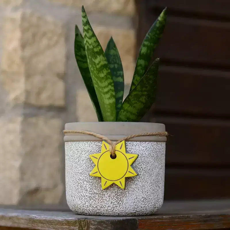 Jardinière d'intérieur/extérieur classique en ciment pour la maison et le jardin avec trou de drainage, bol solaire, petite, aspect blanchi à la chaux