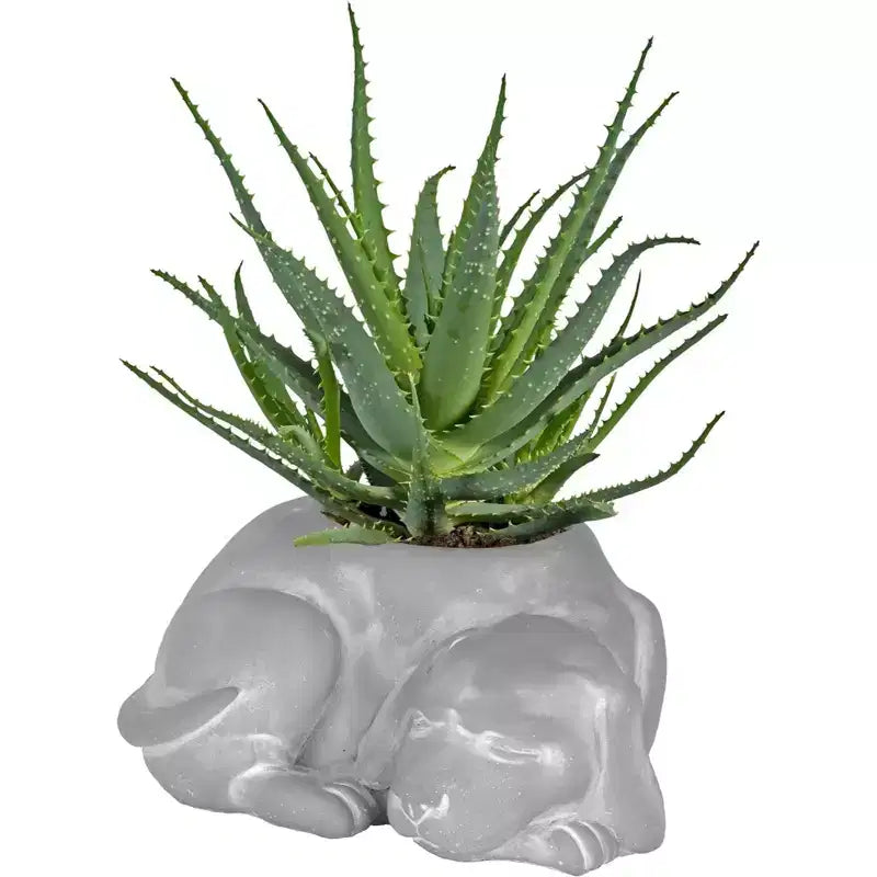 Jardinière d'extérieur avec trou de drainage, Chien endormi