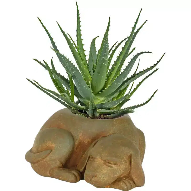 Jardinière d'extérieur avec trou de drainage, Chien endormi