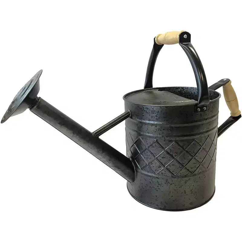 Gardener Select Metal Diamond Watering Can, Black, 1 Gallon