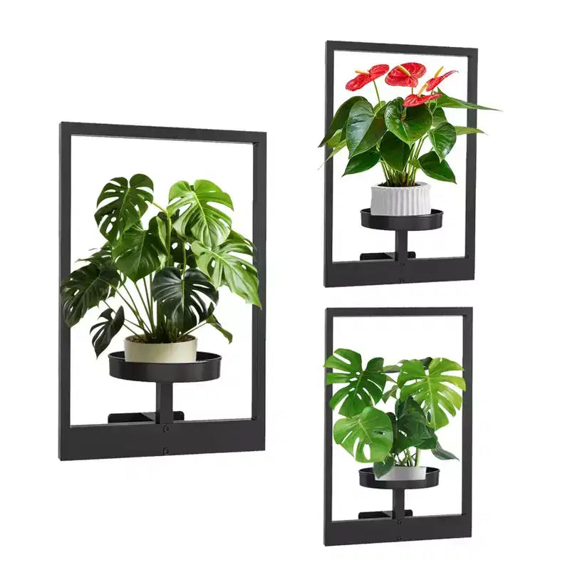 3-Pack Black Metal Floating Plant Shelves C Wall-Mounted Indoor/Outdoor Planter Holders for Living Room, Windows & Entryway