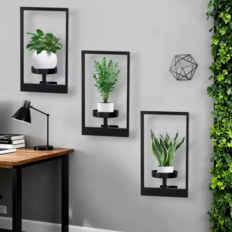 Étagères murales flottantes en métal noir pour plantes, supports de jardinières d'intérieur/extérieur pour salon, fenêtres et entrée
