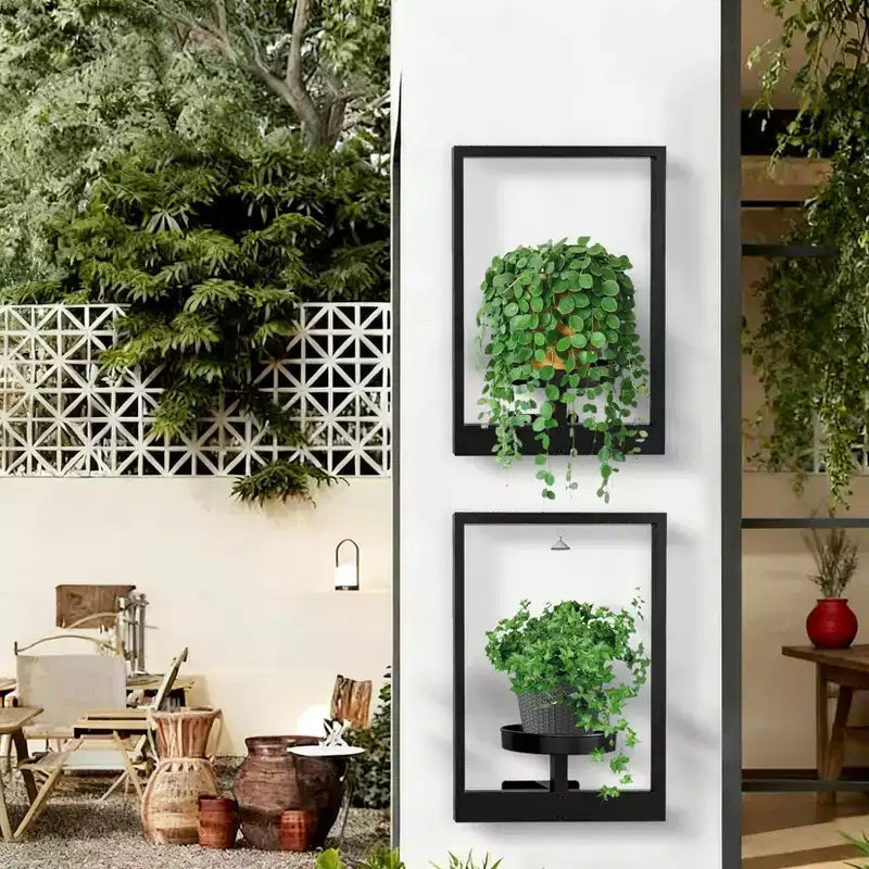 Étagères murales flottantes en métal noir pour plantes, supports de jardinières d'intérieur/extérieur pour salon, fenêtres et entrée