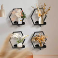 Jardinières murales géométriques noires C 14x12 – Étagères suspendues hexagonales en métal pour décoration intérieure/extérieure de salon et de chambre