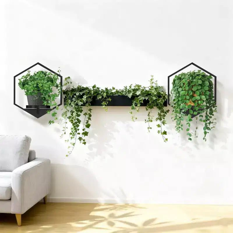 Jardinières murales géométriques noires C 14x12 – Étagères suspendues hexagonales en métal pour décoration intérieure/extérieure de salon et de chambre