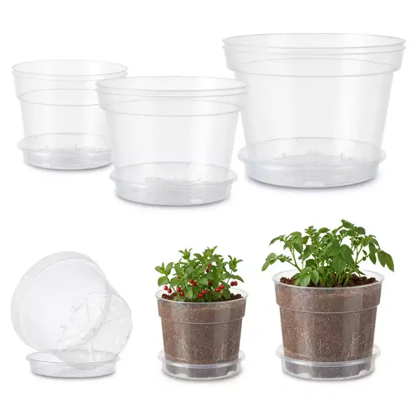 6-Pack Clear Plastic Nursery Pots with Drainage Holes - Transparent Planters in 3 Sizes (6/8/10 inch) for Indoor & Outdoor Growing