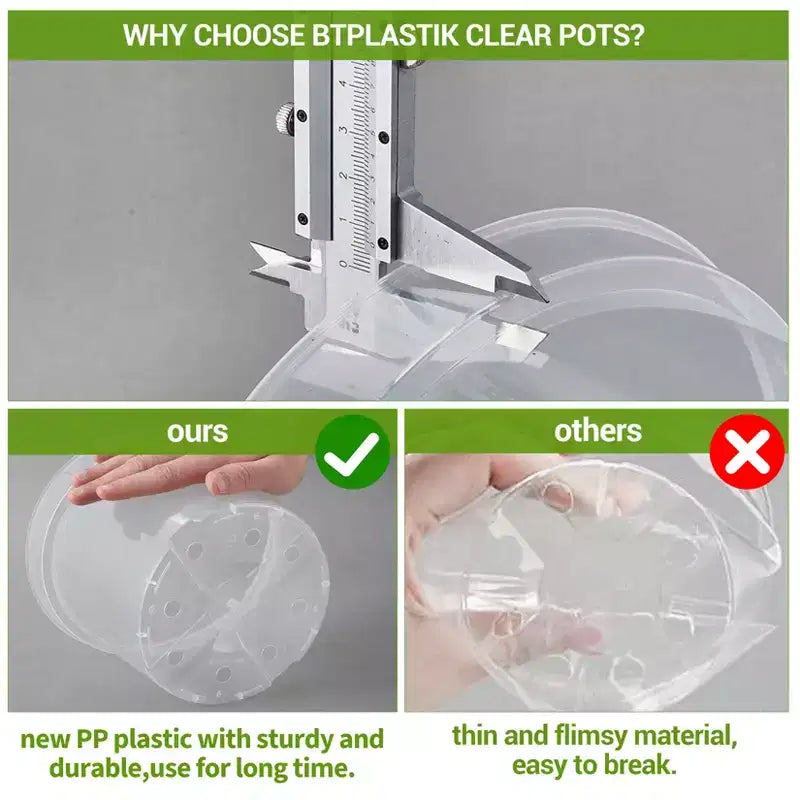 Pots de pépinière en plastique transparent avec trous de drainage - Jardinières transparentes en 3 tailles (6/8/10 pouces) pour la culture intérieure et extérieure