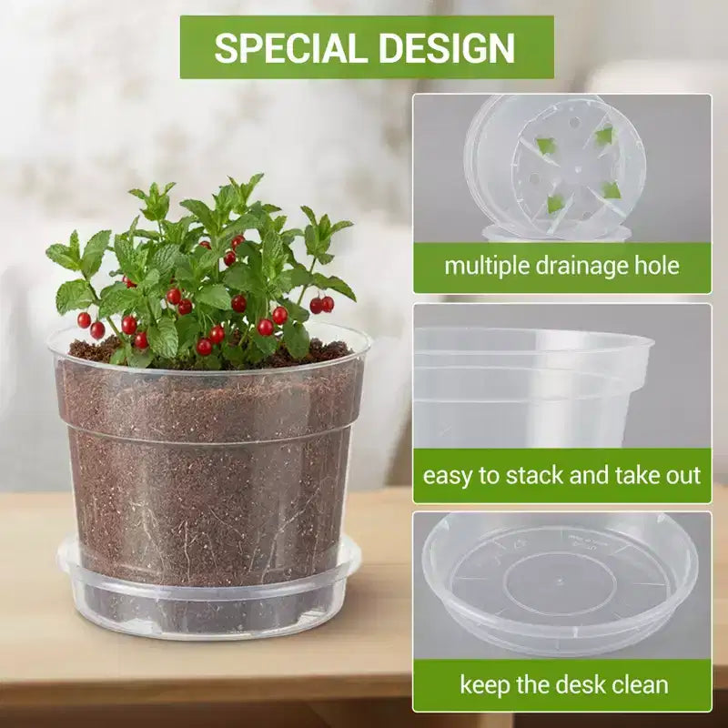 Pots de pépinière en plastique transparent avec trous de drainage - Jardinières transparentes en 3 tailles (6/8/10 pouces) pour la culture intérieure et extérieure