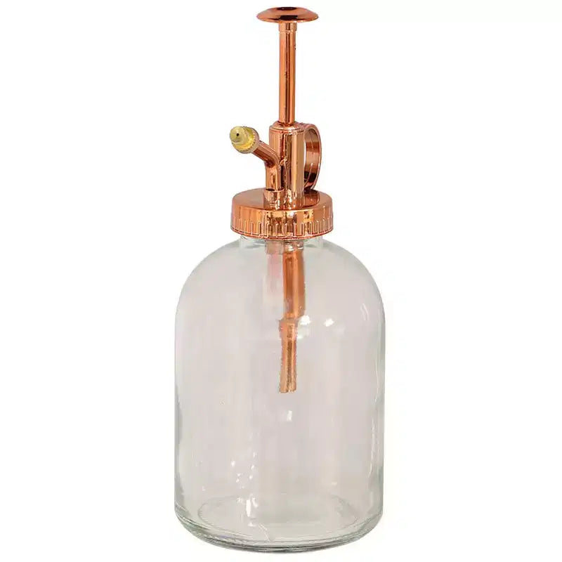 Vaporisateur pour plantes en verre à collectionner